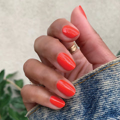 Summer Bestsellers Gel System