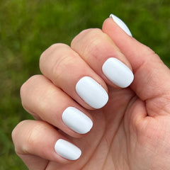 Timeless Neutrals Set