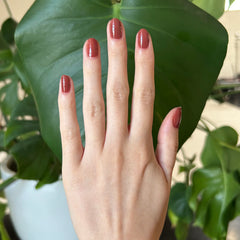 Cozy Brown Gel Mani System