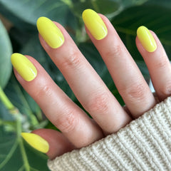 Game Set Mani - Press-On | Medium | Oval