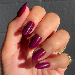 Plaza | Oval | Medium